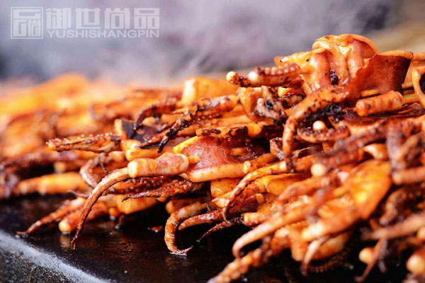 哪里可以學(xué)做鐵板魷魚2